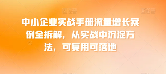 中小企业实战手册流量增长案例全拆解，从实战中沉淀方法，可复用可落地-萝卜兔资源站