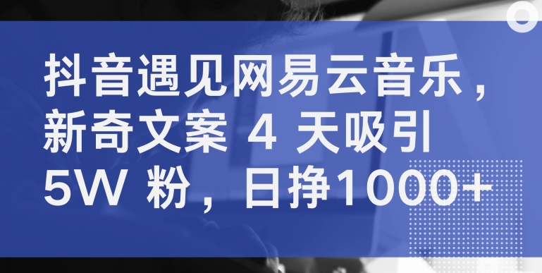 抖音遇见网易云音乐，新奇文案 4 天吸引 5W 粉，日挣1000+【揭秘】-萝卜兔资源站