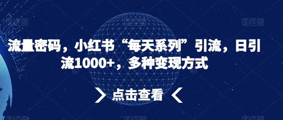 流量密码，小红书“每天系列”引流，日引流1000+，多种变现方式【揭秘】-萝卜兔资源站