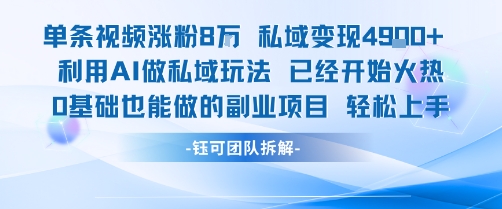 单条视频私域变现4.9k+利用AI做私域玩法 已经开始火热0基础也能做的副业项目轻松上手-萝卜兔资源站