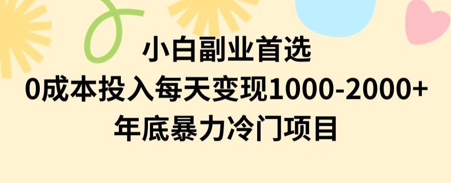 小白副业首选，0成本投入，每天变现1000-2000年底暴力冷门项目【揭秘】-萝卜兔资源站
