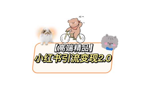 小红书最新引流变现教程，全网最新最详细的视频教程以及素材-萝卜兔资源站