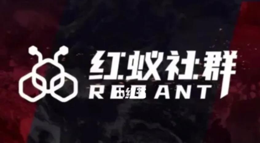 社群运营：红蚁社群【48节落地系统课程+2000人高端社群】-萝卜兔资源站