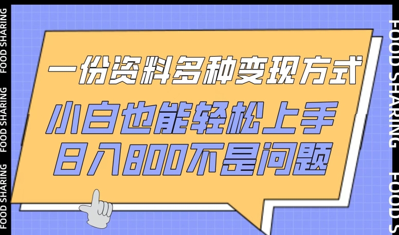 一份资料多种变现方式，小白也能轻松上手，日入800不是问题【揭秘】-萝卜兔资源站