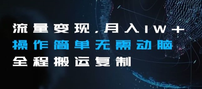 流量变现，月入1W+操作简单无需动脑全程搬运复制【揭秘】-萝卜兔资源站