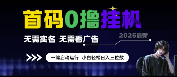 首码0撸挂G项目，无需实名无需看广告 一键启动运行，小白轻松日入三位数【揭秘】-萝卜兔资源站