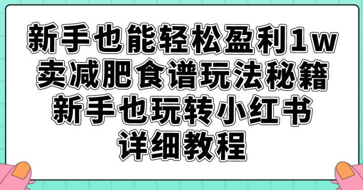 新手也能轻松盈利1w，卖减肥食谱玩法秘籍，新手也玩转小红书详细教程【揭秘】-萝卜兔资源站