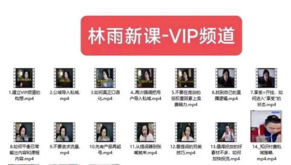林雨新课VIP频道，玩赚私域/朋友圈/社群-萝卜兔资源站