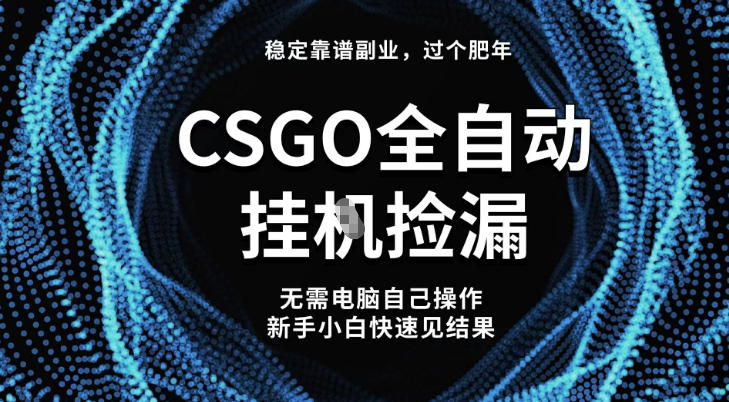 【稳定副业】全球最热门游戏CSGO全自动捡漏，最新玩法，新手小白日入5张+【揭秘】-萝卜兔资源站