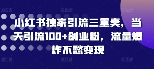 小红书独家引流三重奏，当天引流100+创业粉，流量爆炸不愁变现【揭秘】-萝卜兔资源站