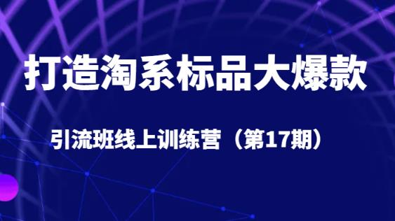 打造淘系标品大爆款引流班线上训练营（第17期）5天直播授课-萝卜兔资源站