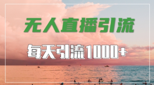 抖音快手视频号全平台通用，无人直播引流法，超暴力引流1000+高质量精准创业粉【揭秘】-萝卜兔资源站