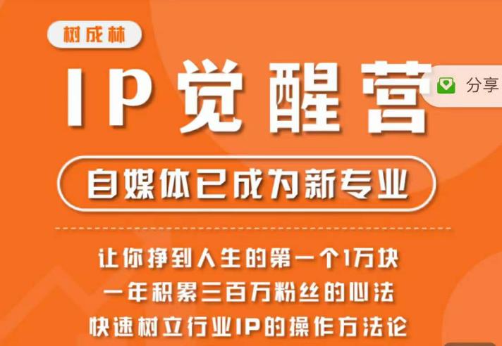 树成林·IP觉醒营，快速树立行业IP的操作方法论，让你赚到人生的第一个1万块-萝卜兔资源站