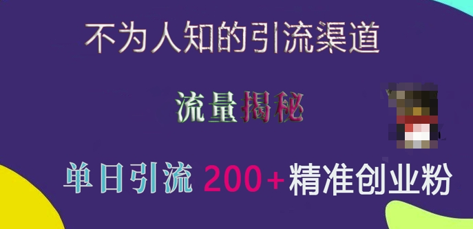 不为人知的引流渠道，流量揭秘，实测单日引流200+精准创业粉【揭秘】-萝卜兔资源站