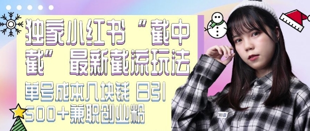 最新小红书截流玩法 独家截中截 单号成本几块钱 日引500+CY粉JZ粉-萝卜兔资源站