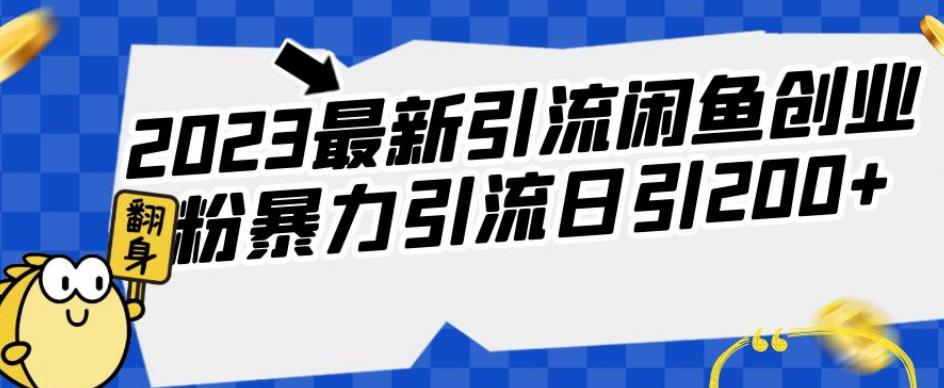2023最新引流闲鱼创业粉暴力引流日引200+【揭秘】-萝卜兔资源站