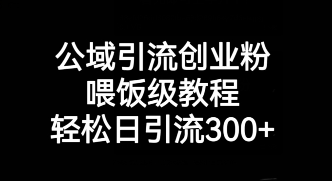 公域引流创业粉，喂饭级教程，轻松日引流300+【揭秘】-萝卜兔资源站