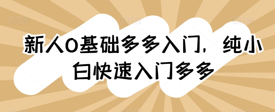 新人0基础多多入门，​纯小白快速入门多多-萝卜兔资源站