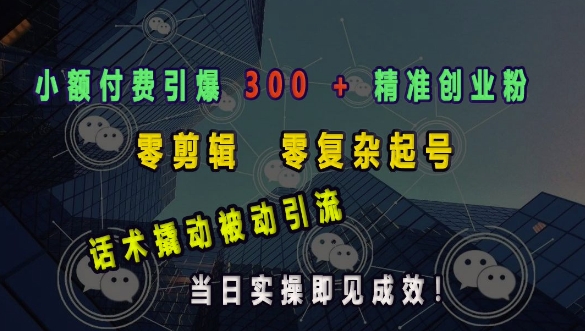小额付费引爆 300 + 精准创业粉，零剪辑、零复杂起号，话术撬动被动引流，当日实操即见成效-萝卜兔资源站