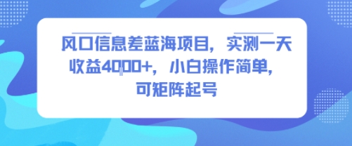 风口信息差蓝海项目，实测一天收益4k+，小白操作简单，可矩阵起号-萝卜兔资源站