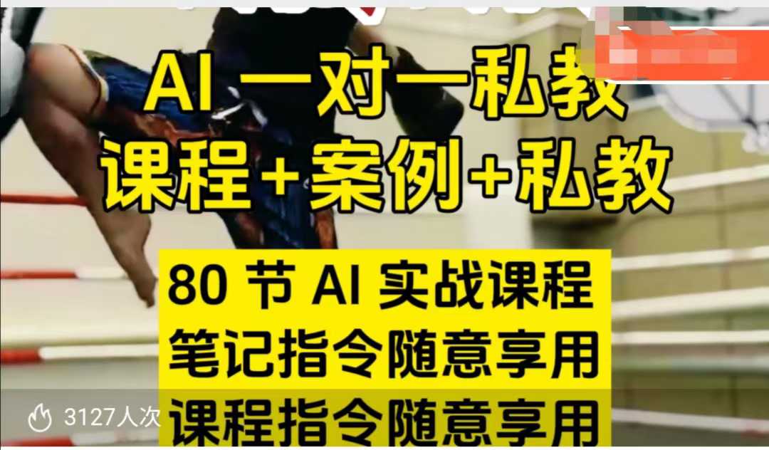 AI指令实战课，课程+案例，80节AI实战课程，笔记指令随意享用，课程指令随意享用（更新7月）-萝卜兔资源站