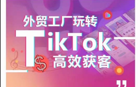 外贸工厂玩转TikTok高效获客，多种引流方式与账号定位技巧，拆解爆款短视频打造成功案例-萝卜兔资源站