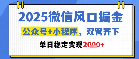 2025微信风口掘金，公众号+小程序双管齐下，单日稳定变现1k+【揭秘】-萝卜兔资源站