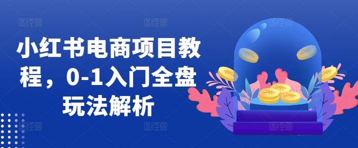 小红书电商项目教程，0-1入门全盘玩法解析-萝卜兔资源站