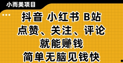 小而美的项目，抖音小红书B站视频点赞、关注、评论就能挣钱，简单无脑立见收益，妥妥的零撸项目【揭秘】-萝卜兔资源站