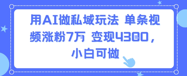 用AI做私域玩法，单条视频涨粉7W变现4.3k，小白可做-萝卜兔资源站
