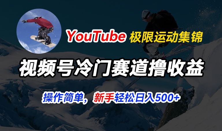 视频号冷门赛道撸收益，YouTube搬运极限运动集锦，暴力起号，操作简单流量高，轻松日入5张【揭秘】-萝卜兔资源站