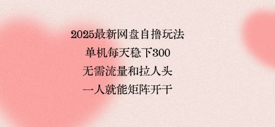2025最新网盘自撸玩法，单机每天稳下3张，无需流量和拉人头，一个人就可轻松矩阵，全网独一份【揭秘】-萝卜兔资源站