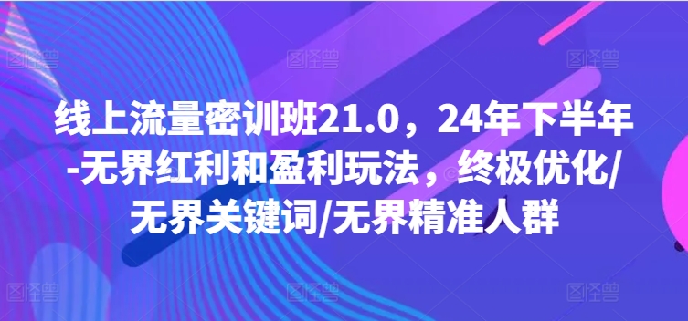线上流量密训班21.0，24年下半年-无界红利和盈利玩法，终极优化/无界关键词/无界精准人群-萝卜兔资源站