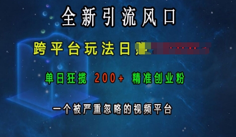全新引流风口，跨平台玩法日入上k，单日狂揽200+精准创业粉，一个被严重忽略的视频平台-萝卜兔资源站