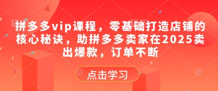 拼多多vip课程，零基础打造店铺的核心秘诀，助拼多多卖家在2025卖出爆款，订单不断-萝卜兔资源站