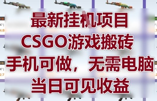 最新挂G项目，CSGO游戏搬砖，手机可做，无需电脑，当日见收益【揭秘】-萝卜兔资源站