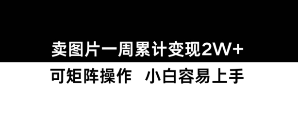 小红书【卖图片】一周累计变现2W+小白易上手-萝卜兔资源站