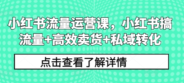 小红书流量运营课，小红书搞流量+高效卖货+私域转化-萝卜兔资源站