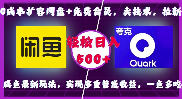 0成本扩容网盘+免费会员，卖技术，拉新，咸鱼最新玩法，实现多重管道收益，一鱼多吃，轻松日入500+-萝卜兔资源站