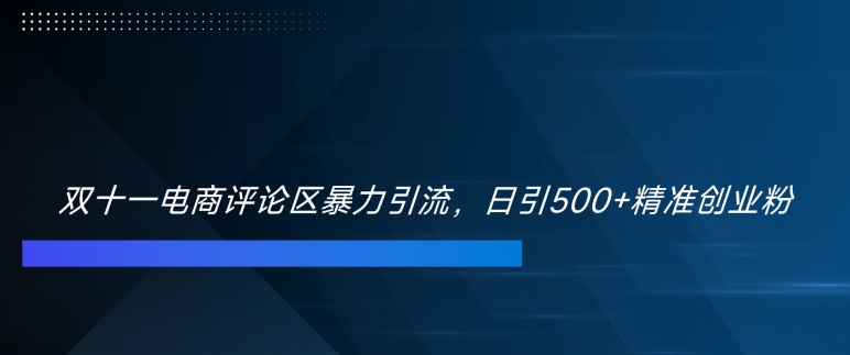 双十一电商评论区暴力引流，日引500+精准创业粉【揭秘】-萝卜兔资源站