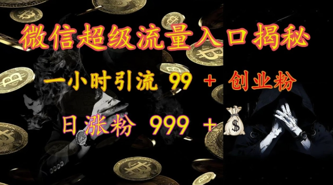 微信超级流量入口揭秘：一小时引流 99 + 创业粉，日涨粉 999 +-萝卜兔资源站
