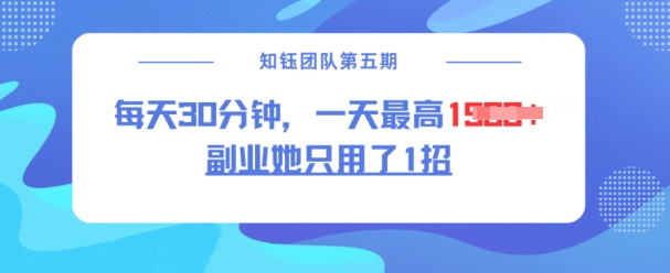 副业她只用了1招，每天30分钟，无脑二创，一天最高1.5k-萝卜兔资源站