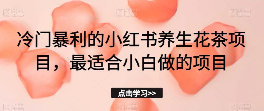 冷门暴利的小红书养生花茶项目，最适合小白做的项目【揭秘】-萝卜兔资源站