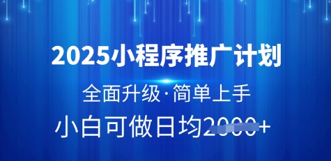 2025小程序推广计划，全面升级，简单上手，日均多张【揭秘】-萝卜兔资源站