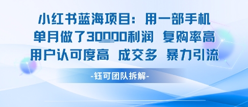 小红书蓝海项目，一部手机单月做了3W利润，小白也能月入过1W用户认可度高成交多-萝卜兔资源站