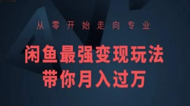 从零开始走向专业，闲鱼最强变现玩法带你月入过万-萝卜兔资源站