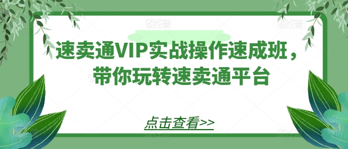 速卖通VIP实战操作速成班，带你玩转速卖通平台-萝卜兔资源站