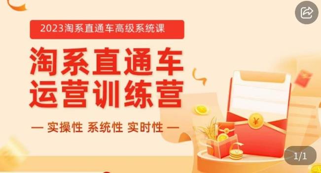 冠东·2023淘系直通车高级系统课，​实操性，系统性，实时性，直通车完整体系教学-萝卜兔资源站
