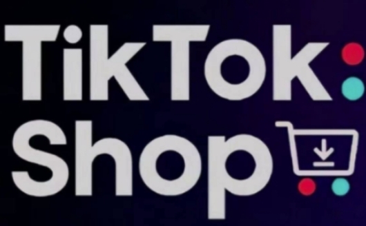 TikTokShop跨境电商0-1实战，手把手教你低成本启动海外市场（更新）-萝卜兔资源站