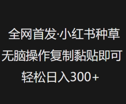 全网首发，小红书种草无脑操作，复制黏贴即可，轻松日入3张-萝卜兔资源站